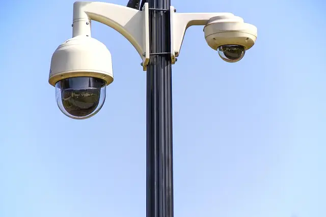 The Ultimate Guide to Pet Cameras