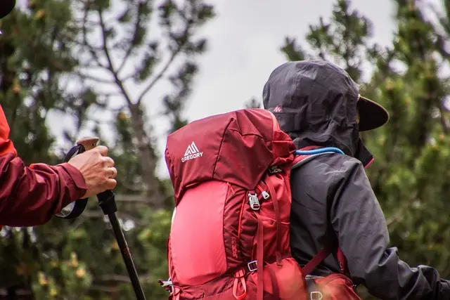 Best Outdoor Dog Gear for Hiking